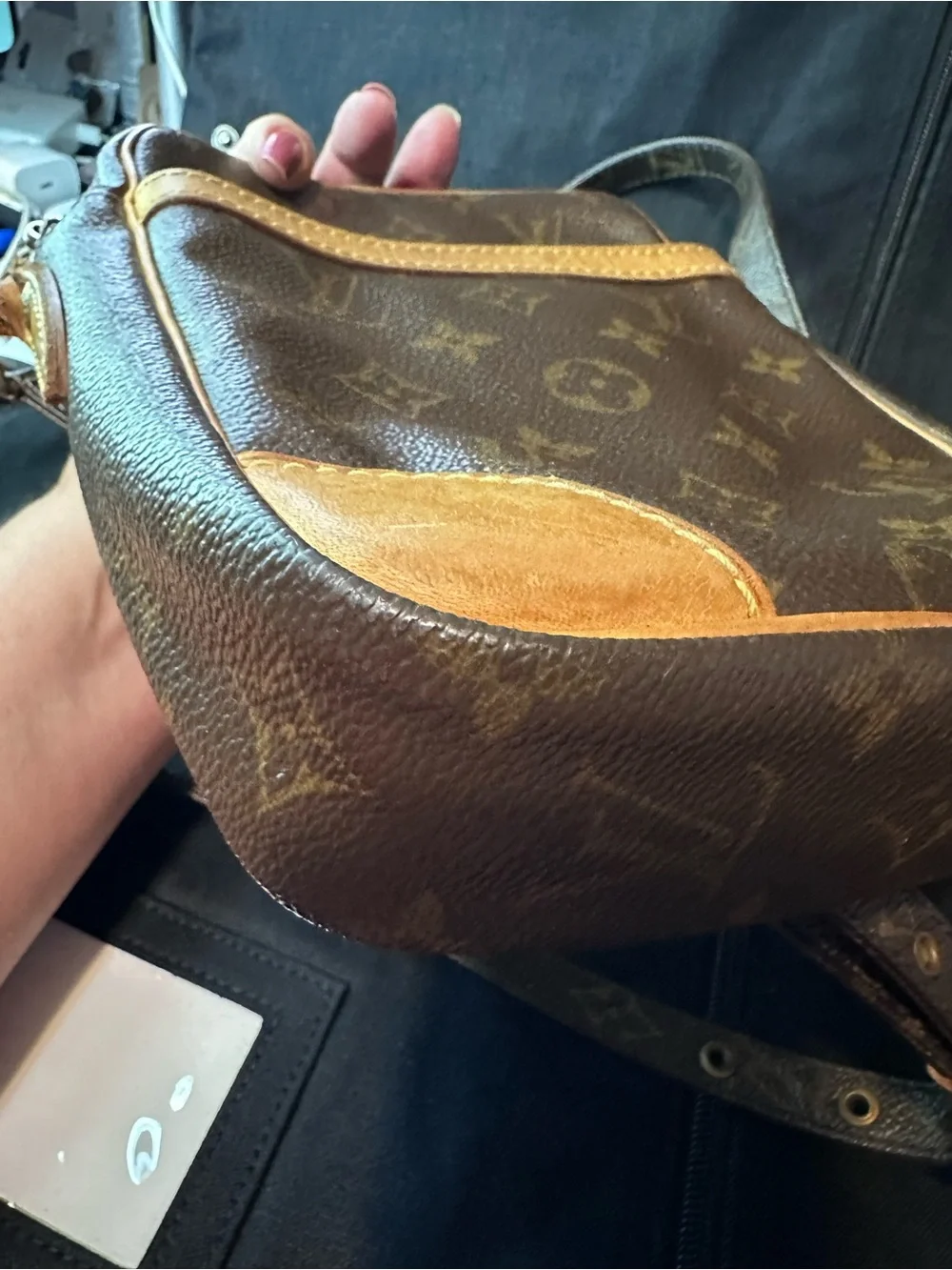 Louis Vuitton Monogram Danube crossbody